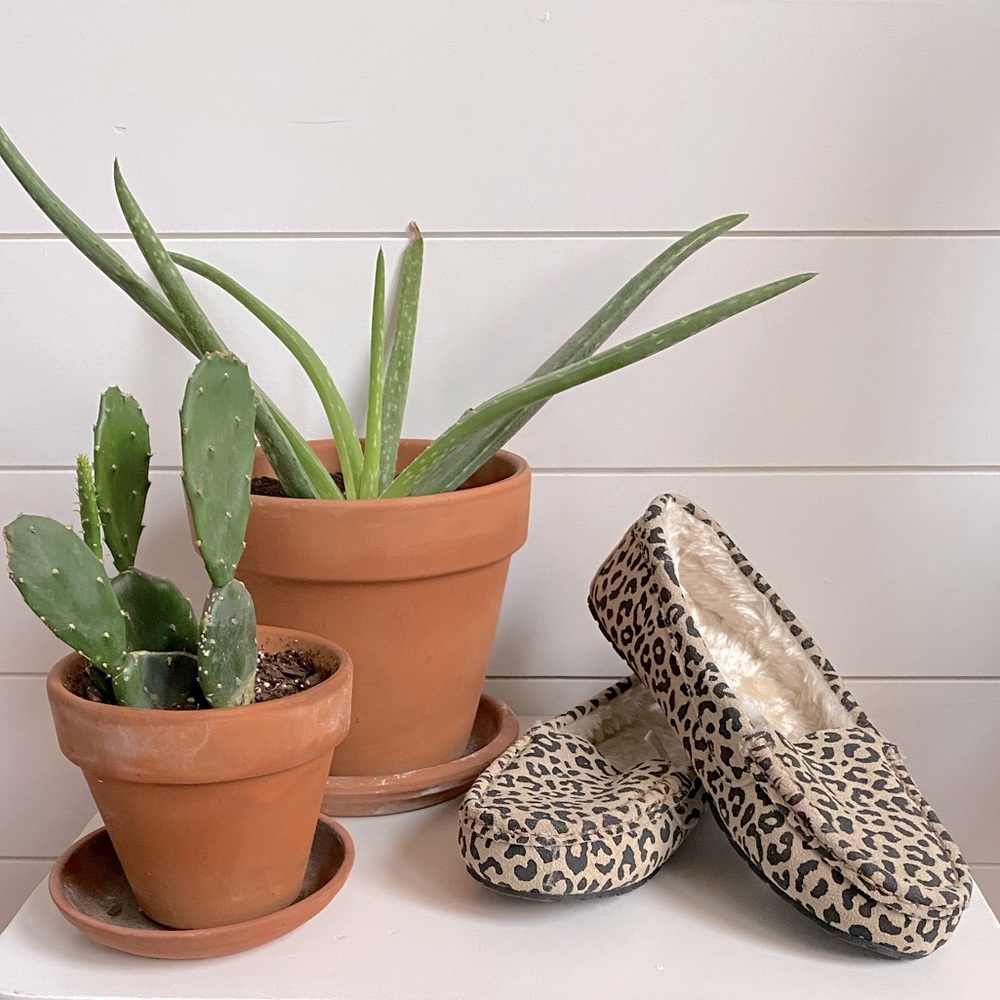 STARS ABOVE // cheetah slippers // size 7